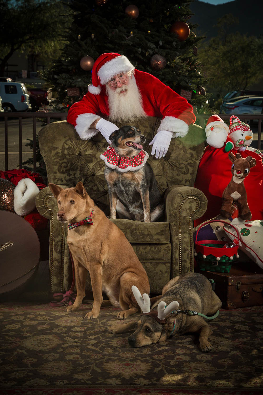Meet Santa event dogs Stagecoach Village